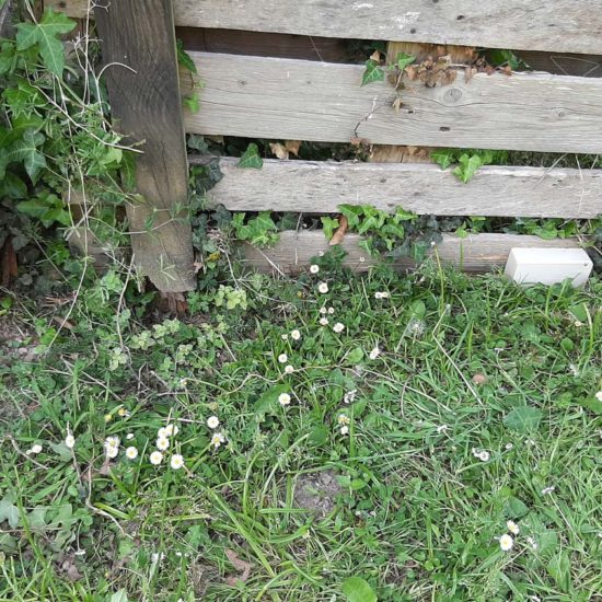 detec-bois traitement des termites dans les Landes dans une maison à Josse