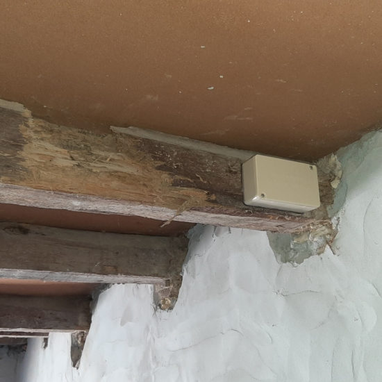 Protection contre les termites a Poyartin dans les Landes